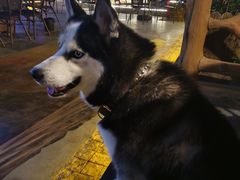 -合和大唐足道·泰式·SPA (凤城五路店)