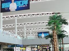 -合肥新桥国际机场-航站楼