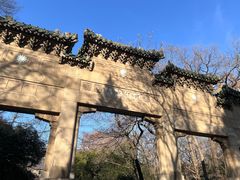 -灵谷景区