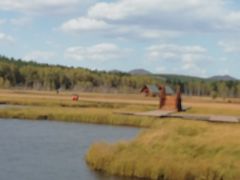 -塞罕坝国家级自然保护区