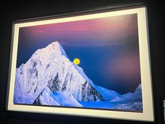 -罗红摄影艺术馆