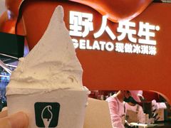 -野人先生现做冰淇淋(北京王府井东方新天地店)