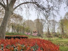 -河南省黄河迎宾馆