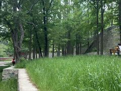 -阳台山自然风景区