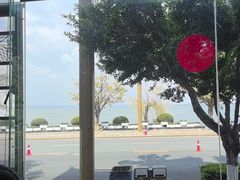 -野菌皇海景野生菌火锅(滨海大道店)