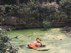 -杭州动物园