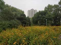 -望湖公园