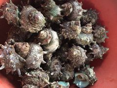 中文大浦海岸柱状节理带-柱状节理带