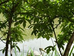 -扬州市茱萸湾风景区