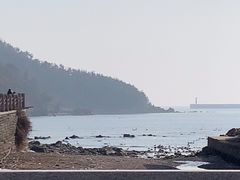 -烟墩角天鹅湖