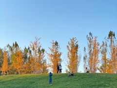 -瀛海足球主题公园