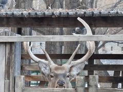 -卧龙堡客栈·中餐厅(古北水镇店)