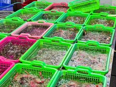 -众味海鲜大排档·活海鲜·潮汕味(南澳店)