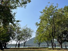 -顺峰山公园