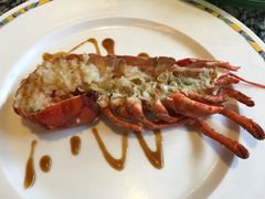 -康帝国际酒店·日式料理