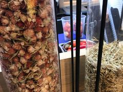 大堂-LELECHA乐乐茶(上海五角场万达广场店)