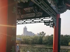 -长春市南湖公园