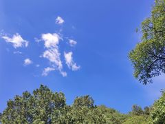 -北京鹫峰国家森林公园