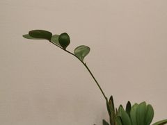 -争渡心理咨询全国连锁(福田店)