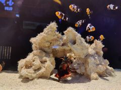 -沈阳海洋探索中心