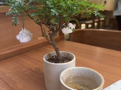 -CURRY YA 熟成咖哩專門店(深圳湾万象城店)