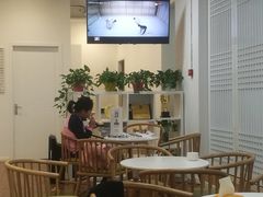 -苍轩跆拳道馆(望京店)