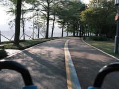 -顺峰山公园