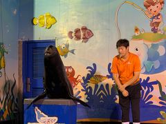 -太平洋海底世界