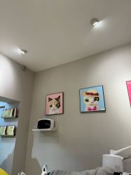-洗脸猫·洗脸吧