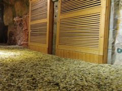 -沐熙汤泉(新安里店)