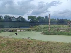 -上海野生动物园