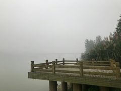 -贺记蛋烘糕(文庙西街店)