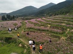 -大姆山草场