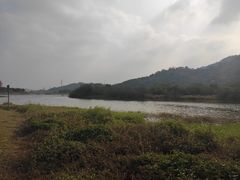 -风云岭森林公园