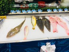 -海蓝海鲜馆(五四北店)
