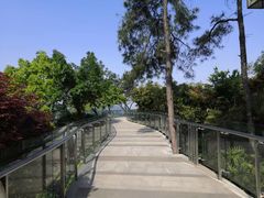 -铁山坪森林公园