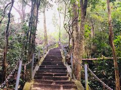 -七仙岭温泉国家森林公园