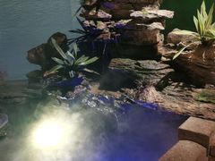 -佬麻雀·新湘菜(珠海金发购物中心店)