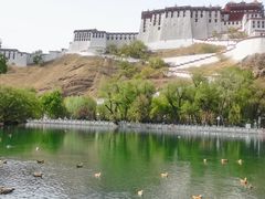 -宗角禄康公园