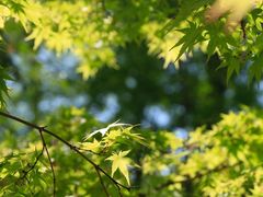 -苏州河梦清园环保主题公园