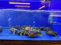 -白仁仔· 活烤海鲜 宵夜(豫园店)