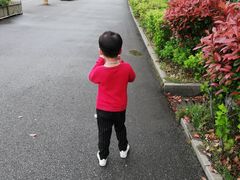 -艾溪湖湿地公园