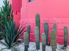 -漳州滨海火山岛自然生态风景区