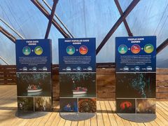 -怀托摩萤火虫洞