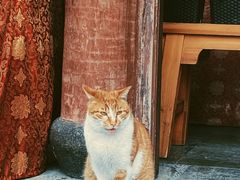 -龙华寺
