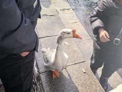 -水磨沟公园