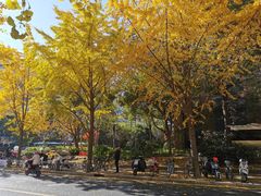 -上海交通大学医学院附属瑞金医院(总院)