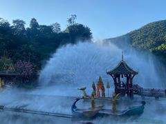 -西双版纳原始森林公园