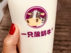 -一只酸奶牛(奎星楼店)