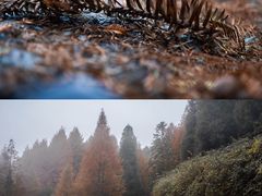 -山王坪喀斯特国家生态公园